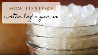 How To Store Water Kefir Grains [upl. by Maro]