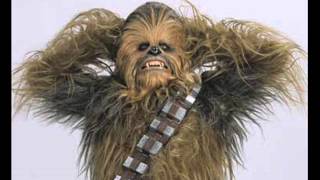 supernova chewbacca what a wookie [upl. by Esilenna214]