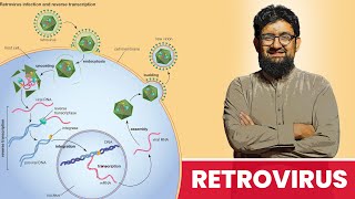 What are Retroviruses  Hindi  Urdu [upl. by Aehr]