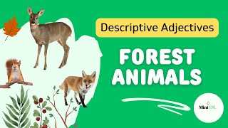 Describe Forest Animals with English Adjectives  Kids English [upl. by Neufer]