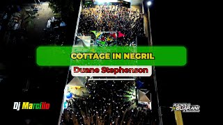 Duane Stephenson Cottage In Negril DVD Radiola Guarani Volume 17 2023 [upl. by Tanaka192]