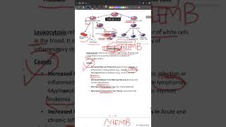 PATHOLOGYLeukocytosis Lymphangitis LN enlargement Splenomegaly [upl. by Airdua131]