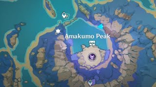 Amakumo peak stone tablet Puzzle  Genshin Impact Natlan [upl. by Adiana490]