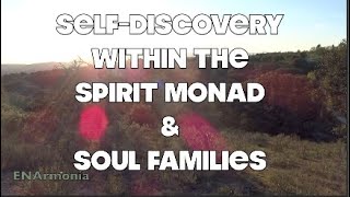 SelfDiscovery in the Sprit Monad amp Soul Families oversouls split souls etc [upl. by Haldeman]