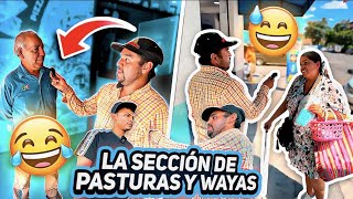 PASTURAS Y WAYAS HACEN ENTREVISTA EN LA CALLE  varios se la n3garon patronneto [upl. by Alegnad493]