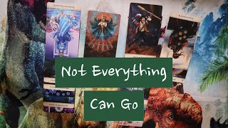 Not Everything Can Go 7 23 24 Daily Tarot Reading [upl. by Trudey]