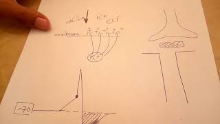 Case Familial Periodic Hypokalemic Paralysis [upl. by Ellered]