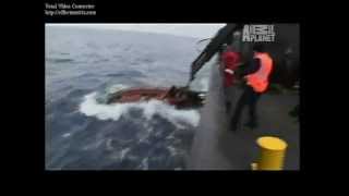 Whale Wars Accident  Four People Killed  RIP [upl. by Lyrad]