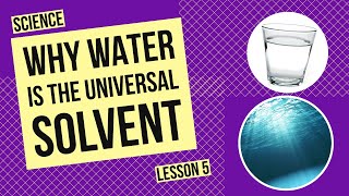 Why Water is the Universal Solvent The Science Behind Water’s Dissolving Power [upl. by Kristoffer]