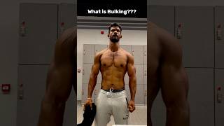 What is Bulking [upl. by Etterb]