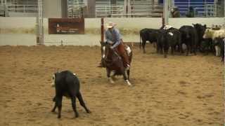 Versatility Ranch Horse and Cowboy Mounted Shooting World Championship Show [upl. by Nnylyam]