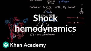 Shock  hemodynamics  Circulatory System and Disease  NCLEXRN  Khan Academy [upl. by Krigsman314]