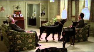 Dobermans in movie  16 part 2  Доберманы в кино [upl. by Sang990]