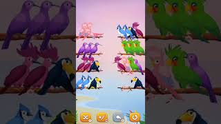 cute birds shortviral vlogs shotcutebirds bhojpuri ganashortvidtrendingshorts [upl. by Eimmit947]