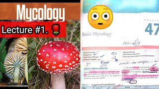 Basic mycology 🛑 LECTURE 1 Chap 47 Difference between fungi and bacteria hyphaeyt Lab diagnosis [upl. by Ariana]