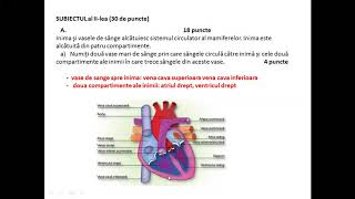 REZOLVARE SUBIECT PROPUS BACALAUREAT BIOLOGIE VEGETALA 2021 [upl. by Hochman]