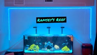 Ramsey’s Reef Ep2 THE TANK [upl. by Aretahs743]