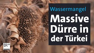 Wassermangel Massive Dürre in der Türkei  BR24 [upl. by Gerti]