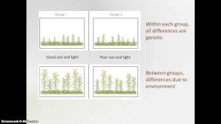 Heritability [upl. by Moersch]