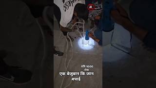 20 फुट गहरे पाईप में फसे छोटे dog 🐕 कि जान बचाईcowdogsrescueshortsreels [upl. by Milewski]