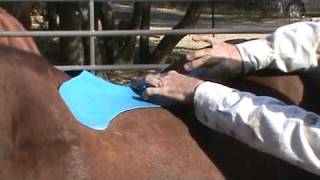 How to Use the Saddle Fitting Forms  JJ Maxwell [upl. by Ignace421]