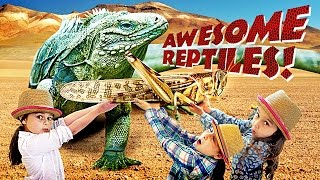 Awesome Reptiles All About Reptiles w The Wild Adventure Girls [upl. by Anilec]