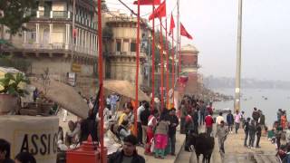 Varanasi by the ghats [upl. by Ateekan]