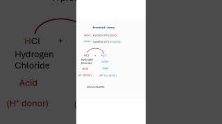 Chemistry Acids amp Bases According to BronstedLowry [upl. by Lorianne125]