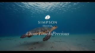 Simpson Travel  Your Time is Precious [upl. by Geraint]