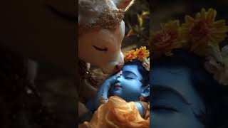 Radhe Radhe 🙏🏻 radharani sanatan gaomata kanha maa maiya yashoda ashita18 krishna gwala [upl. by Kerrin307]