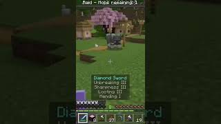 Pov The ravager is the last enemy minecraft [upl. by Mayda]