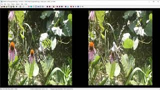 How to make LRRL movie from panasonic 3D1 movie with SPM [upl. by Mika]