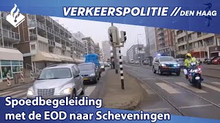 Spoedbegeleiding met de EOD naar Scheveningen [upl. by Fanning]