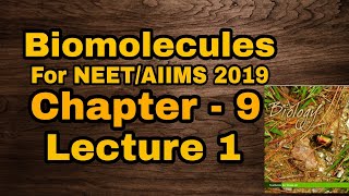 NCERT CH9 BIOMOLECULES CLASS 11 FULL NCERT EXPLAINED Part 1 [upl. by Itsyrc724]