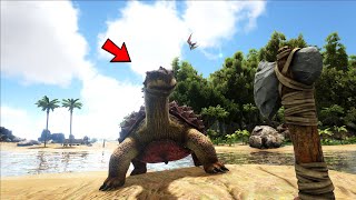 I Tamed A CARBONEMYS Dinosaur And This Happened  Ark Survival Evolved  Part 2 [upl. by Moishe]