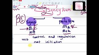 CVS Physiology  Physiology of Cardiac Muscle I  Mutah [upl. by Dutchman]