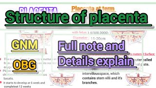 Structure of the PlacentaOBGGNM 3rd year [upl. by See]