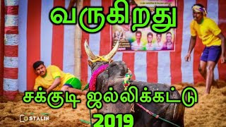 வருகிறது சக்குடி ஜல்லிக்கட்டு 2019  Upcoming Sakkudi Jallikattu 2019  PR  SAKKUDI  MADURAI [upl. by Nirak94]