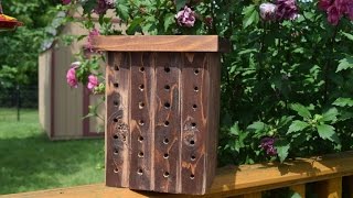 How to Build a Bee House WoodLoggercom [upl. by Cobb928]