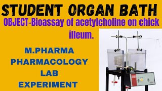 STUDENT ORGAN BATHBioassy of Acetylcholine on chicken ileum using student organ bath [upl. by Moorish]