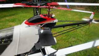 Bali´s Heli Flotte Juni 09 vom Walkera 4g3 Alu Brushless bis Schlüter Scout 60 [upl. by Atnauq]