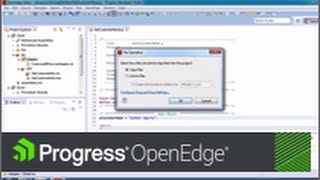 Getting Started with Progress Developer Studio for OpenEdge [upl. by Bigford]