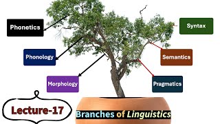 Lecture17 Branches of Linguistics Phonetics Phonology Morphology Syntax Semantics etc [upl. by Grissel]