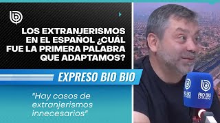 Los extranjerismos en el español ¿Cuál fue la primera palabra que adaptamos [upl. by Purington]