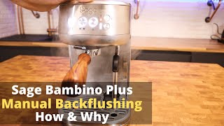 Sage  Breville Bambino Plus  How amp why to do manual cleaning cycles backflushing [upl. by Ruperta]