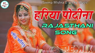 Hariya Podina Dj Remix  Seema Mishra  Old Rajasthani Song  Oy Lul Jaye Re Hariya Podina Dj Remix [upl. by Jeminah]