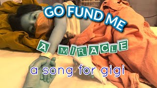 Go Fund Me a Miracle [upl. by Adnuhser484]