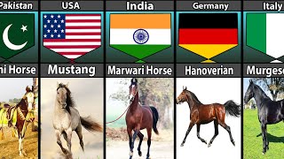 Horse Breeds From Different Countries [upl. by Olinad265]