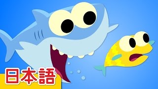 チビザメ「Baby Shark」 童謡  Super Simple 日本語 [upl. by Ennayt]