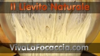 Ricetta per Fare il Lievito Naturale Lievito Madre LiCoLi o Pasta Madre in Casa [upl. by Tucker402]